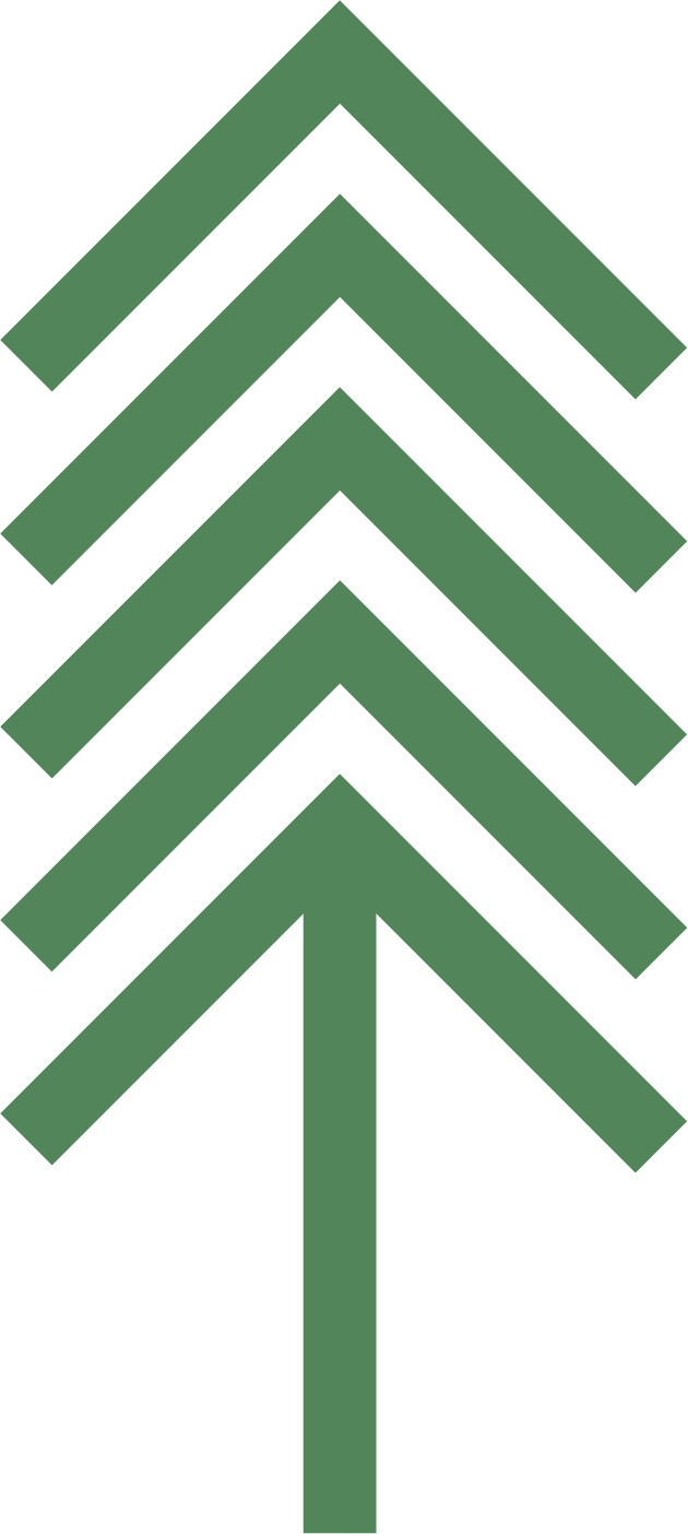 Alpes Cleaning